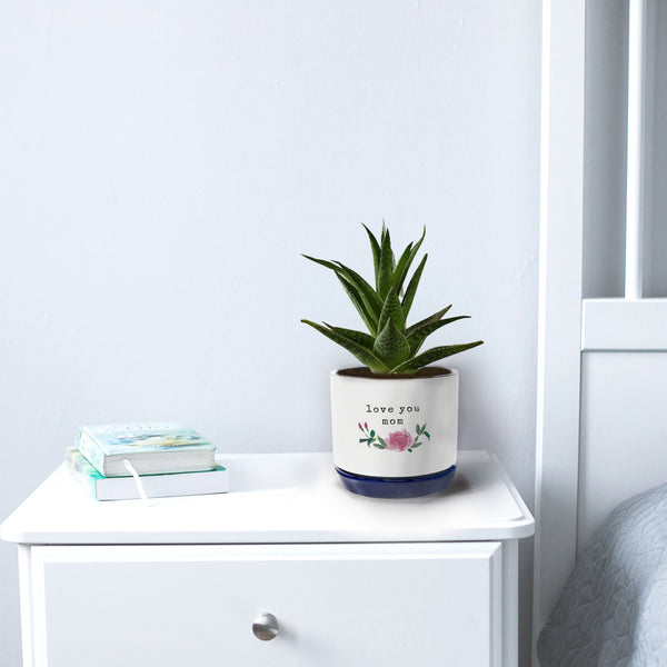 Pavilion Gift Company Mom 4.25" Planter (Holds 4" Planter Pot)