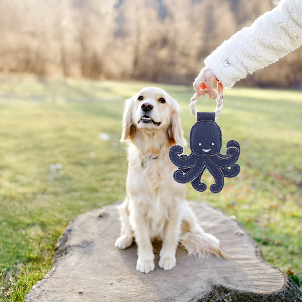 Pavilion Gift Company Out Of Reach 12.5" Canvas Dog Toy On Rope