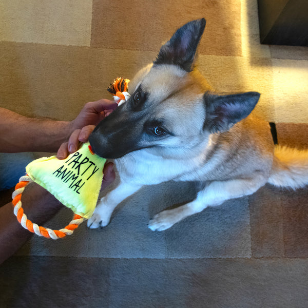 Pavilion Gift Company Party Animal Canvas Dog Toy On A Rope