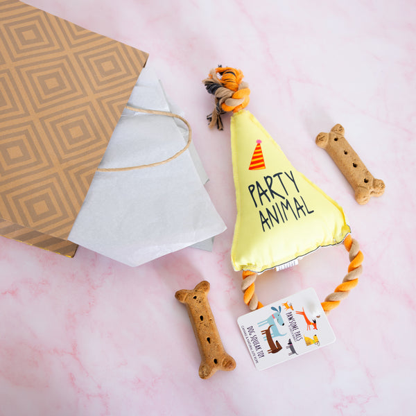 Pavilion Gift Company Party Animal Canvas Dog Toy On A Rope
