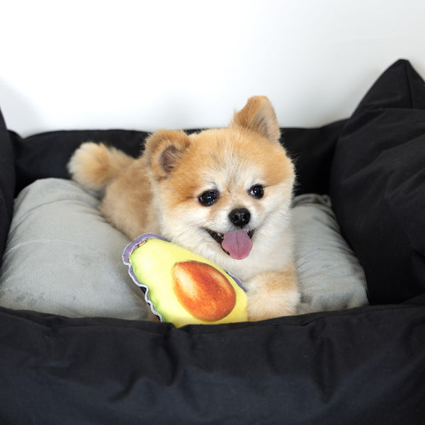 Pavilion Gift Company Avocado 6.5" Canvas Dog Toy