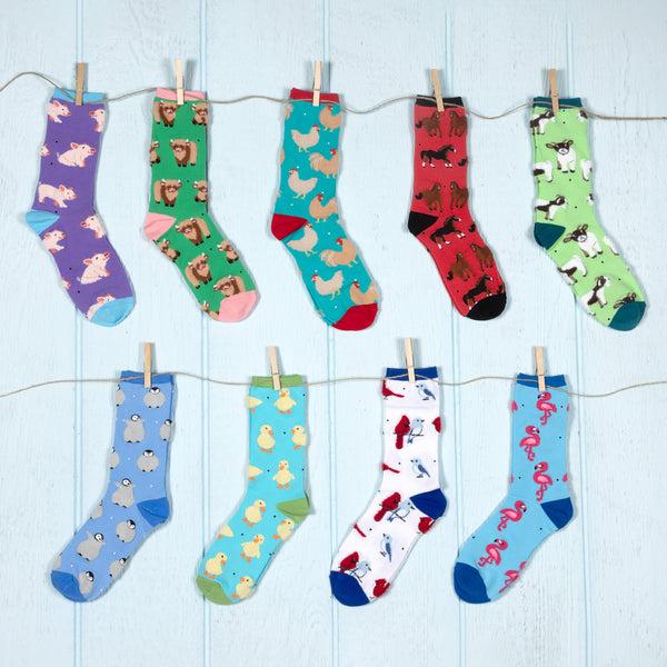 Pavilion Gift Company Baby Penguins Unisex Socks