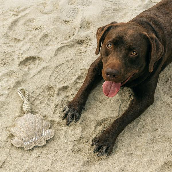 Pavilion Gift Company Beach Dog 11" Dog Toy On Rope