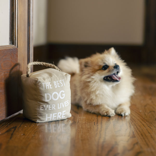 Pavilion Gift Company Best Dog 5" X 6" Door Stopper