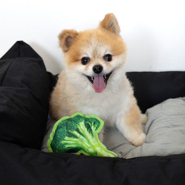 Pavilion Gift Company Broccoli 6.25" Canvas Dog