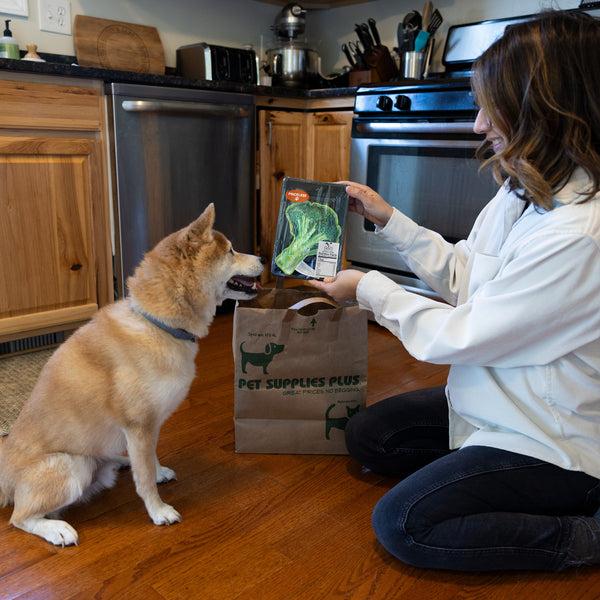 Pavilion Gift Company Broccoli 6.25" Canvas Dog