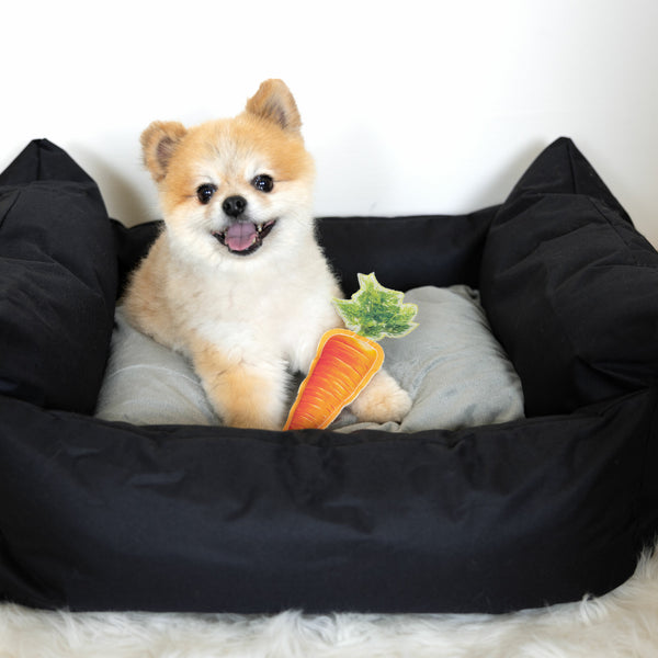 Pavilion Gift Company Carrot 8" Canvas Dog