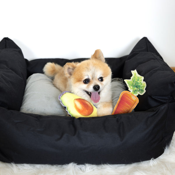Pavilion Gift Company Carrot 8" Canvas Dog