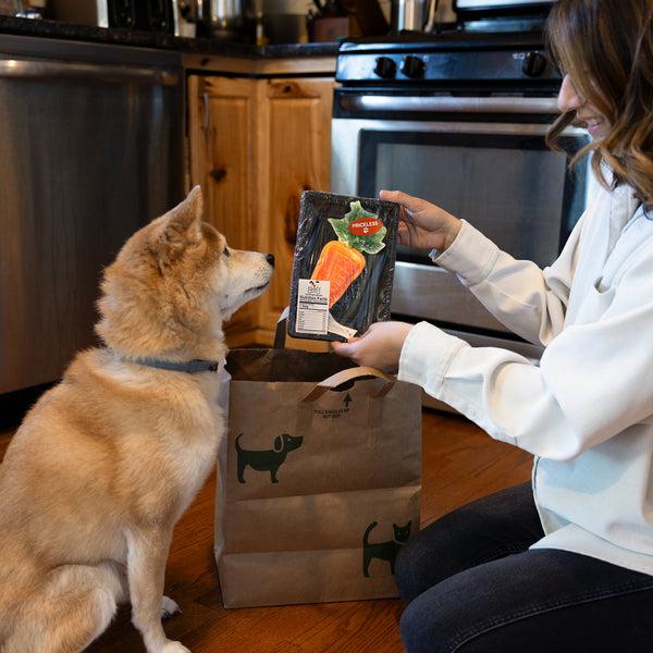 Pavilion Gift Company Carrot 8" Canvas Dog
