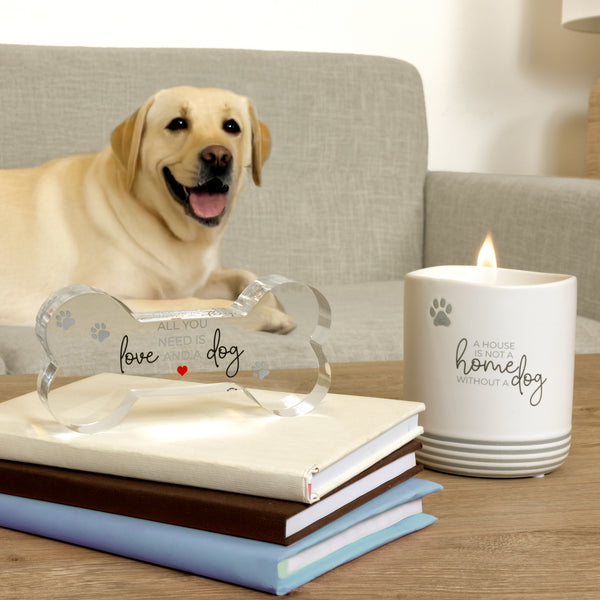 Pavilion Gift Company Dog 5.5" Acrylic Bone Plaque