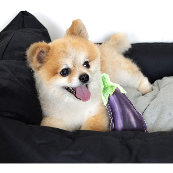 Pavilion Gift Company Eggplant 7.5" Canvas Dog