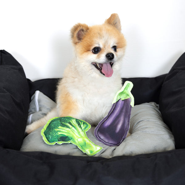 Pavilion Gift Company Eggplant 7.5" Canvas Dog