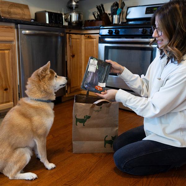 Pavilion Gift Company Eggplant 7.5" Canvas Dog