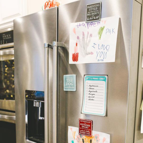 Pavilion Gift Company Extreme Sport 3.5" Tin Magnet