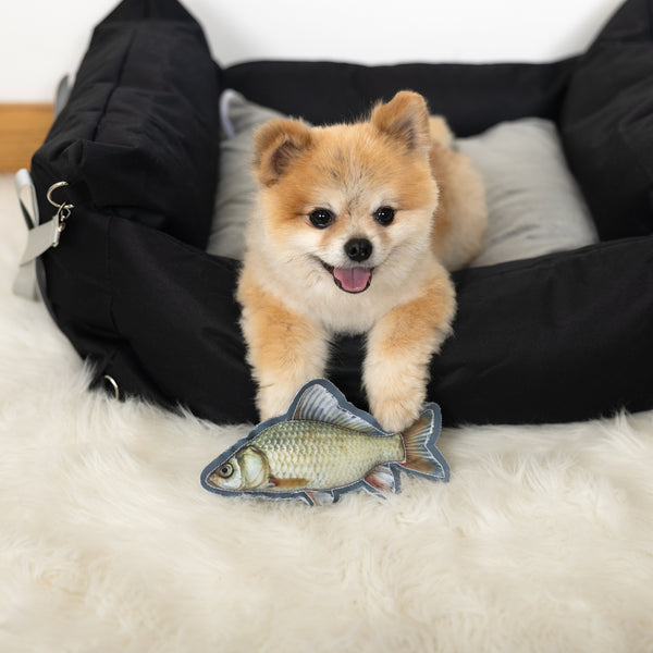 Pavilion Gift Company Fish 8" Canvas Dog