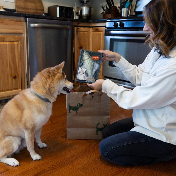 Pavilion Gift Company Fish 8" Canvas Dog