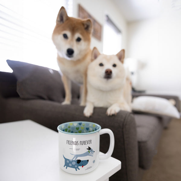 Pavilion Gift Company Friends Furever 18 Oz Mug