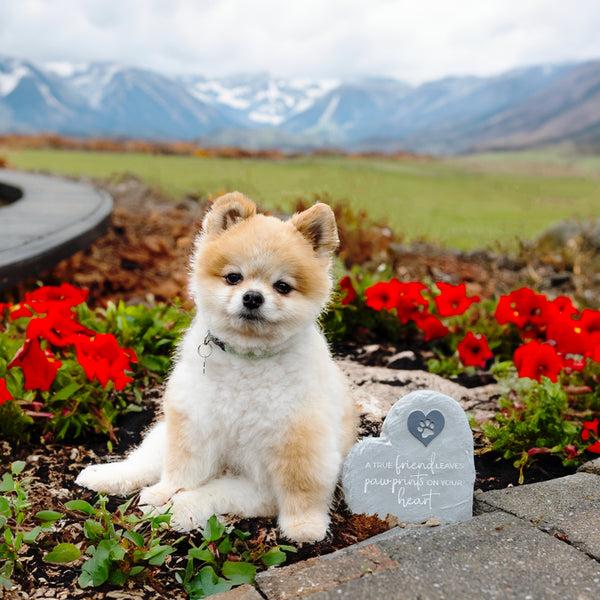 Pavilion Gift Company Pawprints 6" Garden Stone