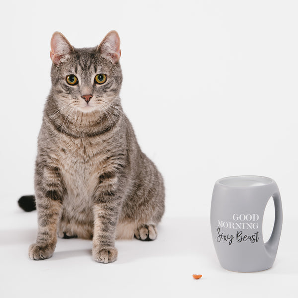 Pavilion Gift Company Sexy Beast 16 Oz Cup