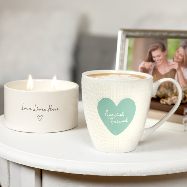 Pavilion Gift Company Special Friend 17 Oz Cup