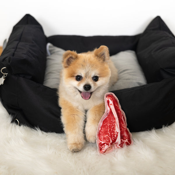 Pavilion Gift Company Steak 7" Canvas Dog