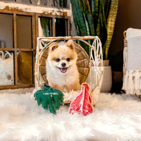 Pavilion Gift Company Steak 7" Canvas Dog