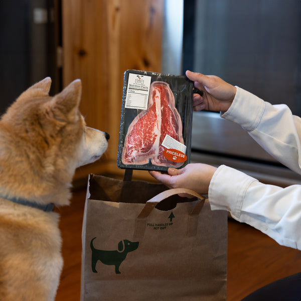 Pavilion Gift Company Steak 7" Canvas Dog