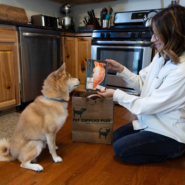 Pavilion Gift Company Sushi 7.5" Canvas Dog