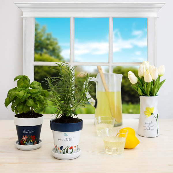 Pavilion Gift Company Plant Mom 4" Planter With Tray