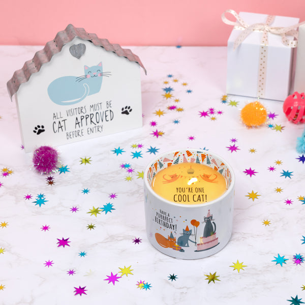 Pavilion Gift Company Purrfect Birthday 8 Oz 100% Soy Wax Reveal Single Wick Candle Scent: Tranquility