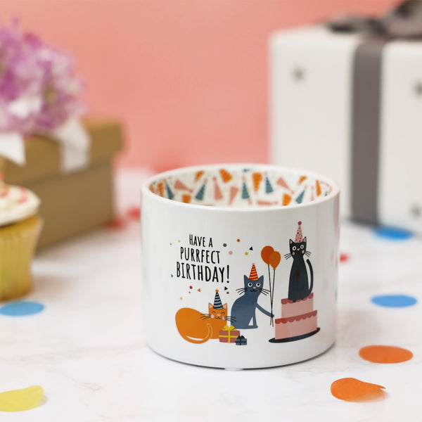 Pavilion Gift Company Purrfect Birthday 8 Oz 100% Soy Wax Reveal Single Wick Candle Scent: Tranquility