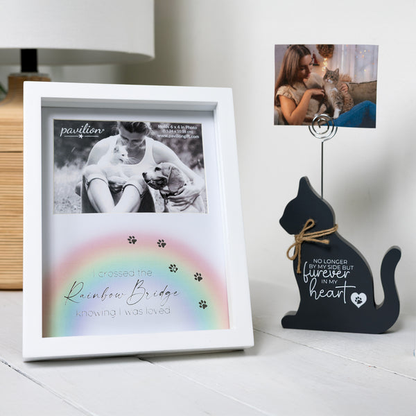 Pavilion Gift Company Rainbow Bridge 7.5" X 9.5" Shadow Box Frame (Holds 6" X 4" Photo)