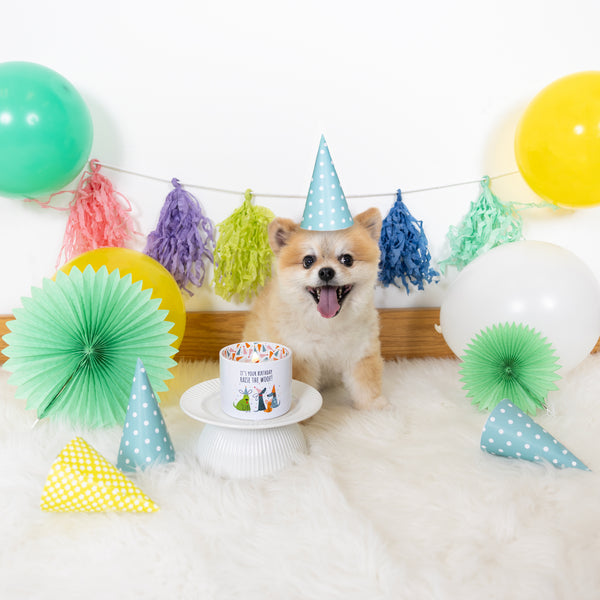 Pavilion Gift Company Raise The Woof 8 Oz 100% Soy Wax Reveal Single Wick Candle Scent: Tranquility