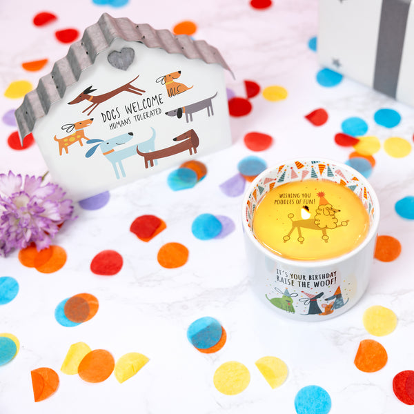 Pavilion Gift Company Raise The Woof 8 Oz 100% Soy Wax Reveal Single Wick Candle Scent: Tranquility