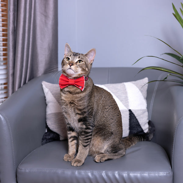 Pavilion Gift Company Red Striped 3" X 1.75" Canvas Pet Bow Tie