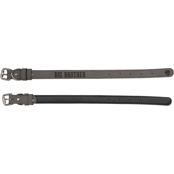 Pavilion Gift Company S/M Big Brother 16" PU Leather Pet Collar