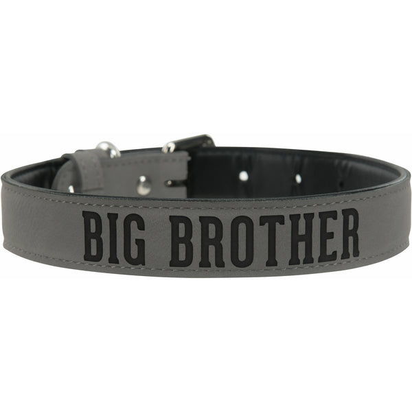 pavilion gift company S/M Big Brother 16" PU Leather Pet Collar
