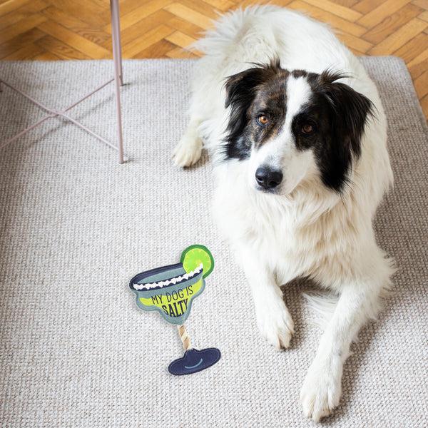 Pavilion Gift Company Salty 12" Canvas Dog Toy On Rope