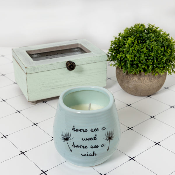 Pavilion Gift Company Some See A Wish 8 Oz - 100% Soy Wax Candle Scent: Serenity