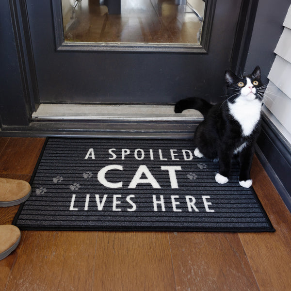 Pavilion Gift Company Spoiled Cat 27.5" X 17.75" Floor Mat
