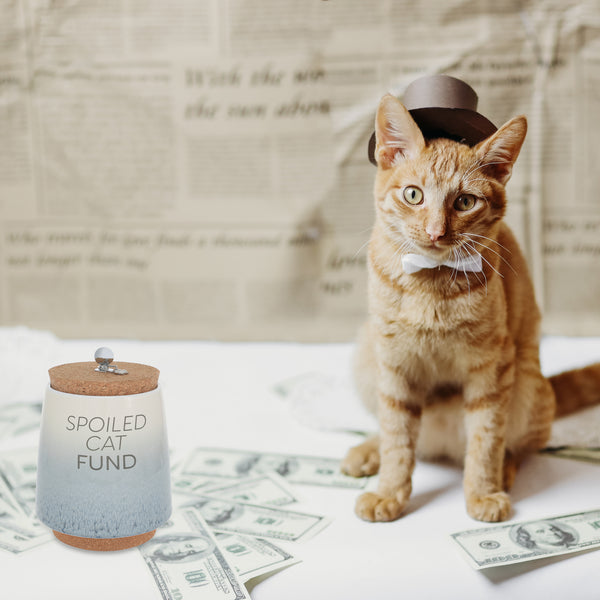 Pavilion Gift Company Spoiled Cat 6.5" Ceramic Savings Bank