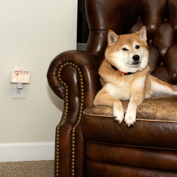 Pavilion Gift Company Spoiled Dog 3.5" Ceramic Night Light