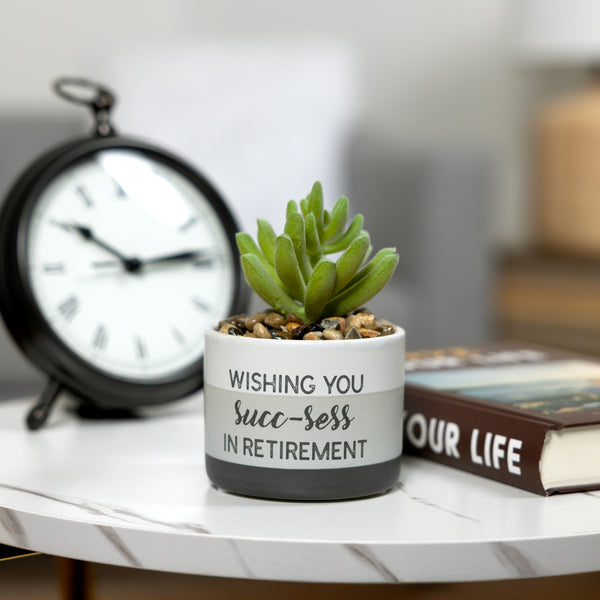 Pavilion Gift Company Succ-sess Artificial Potted Plant