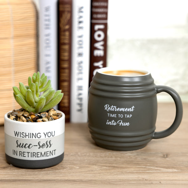 Pavilion Gift Company Succ-sess Artificial Potted Plant