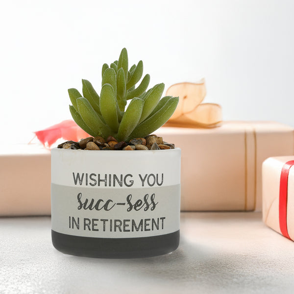 Pavilion Gift Company Succ-sess Artificial Potted Plant