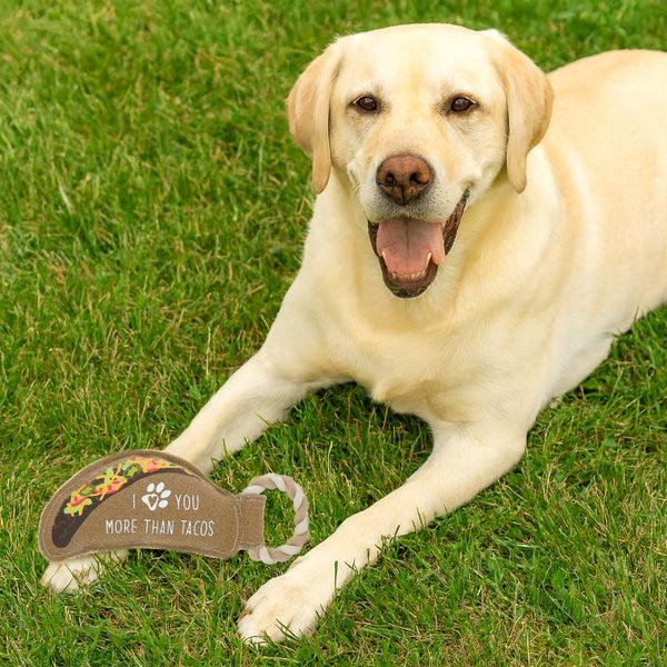 Pavilion Gift Company Tacos 12" Canvas Dog Toy On Rope