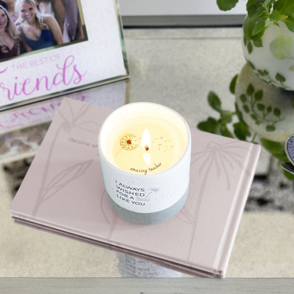 Pavilion Gift Company Teacher Like You 10 Oz - 100% Soy Wax Reveal Candle Scent: Tranquility