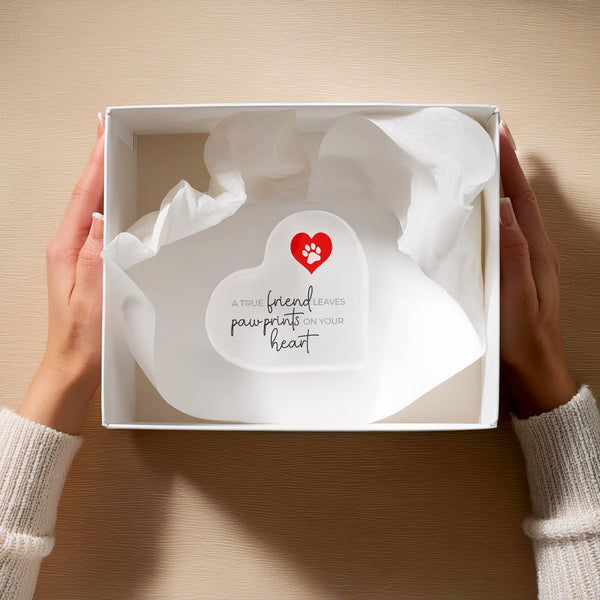 Pavilion Gift Company True Friend 3.5" Acrylic Heart Plaque