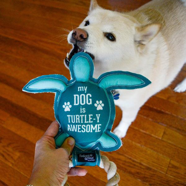 Pavilion Gift Company Turtle-y Awesome 9" Canvas Dog Toy On Rope