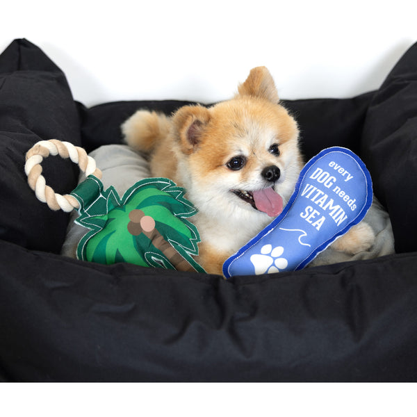 Pavilion Gift Company Vitamin Sea 9" Canvas Dog Toy With Rope